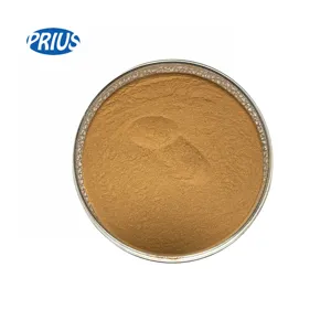 Factory Supply Natural Cinnamon Bark Extract 20% 30% Cinnamon Polyphenols Powder