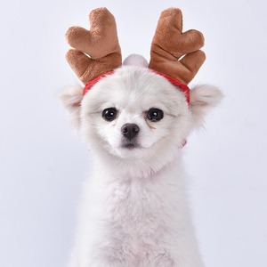 2024 baru hangat musim dingin syal anjing Natal topi anjing grosir kustom topi anjing - Product Image 3
