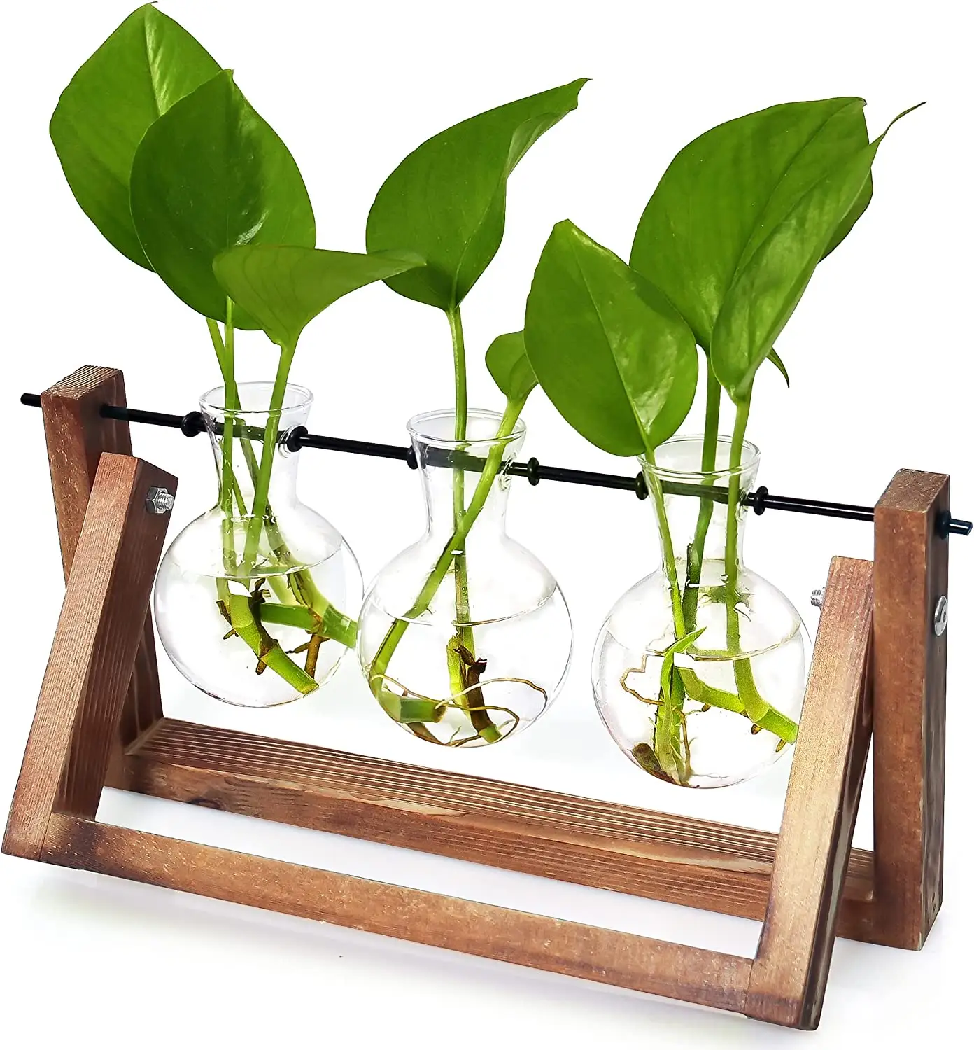 Terrarium pour plantes en verre avec support rétro en bois massif et support pivotant en métal pour plantes hydroponiques, jardin domestique