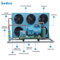 Unité de réfrigération en gros à 6 sorties d'air 30HP, unités de condensation durables refroidies par air pour la volaille, chambre froide de 400m³