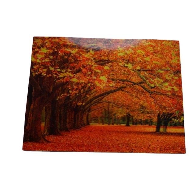 3d Lenticular Card Big Size Lenticular Poster Ready to Ship Manufacturer Price Stock 40*60CM Home Decoration PET Plastic Europe