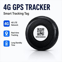 Daovay Mini Tag Traceur GPS Automobile avec Batterie 3 Ans Portée Illimitée pour Android & iOS Localisateur Intelligent