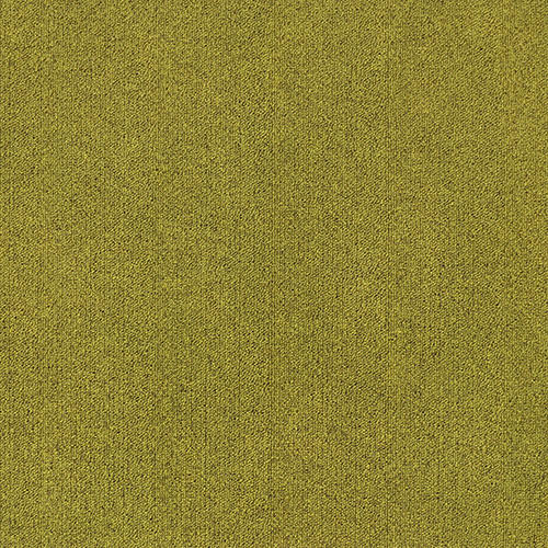 สีดำสีกากี