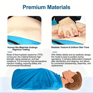 Maniquí de Entrenamiento <span class=keywords><strong>para</strong></span> RCP en Adultos de Medio Cuerpo <span class=keywords><strong>para</strong></span> <span class=keywords><strong>Primeros</strong></span> <span class=keywords><strong>Auxilios</strong></span> y Ciencias Médicas - Product Image 6