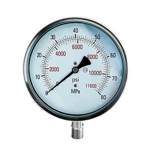 Pressure Gauge Price Factory Cheap Price 0-1000bar Diameter Pressure Gauge Stainless Steel Water Pressure Gauge