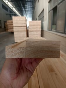 Telaio della porta ribassato fuoco adescato bianco - Product Image 6