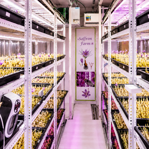 Contenedor Inteligente Automatizado de Múltiples Capas con Luz LED de Espectro Completo para Cultivo Vertical Hidropónico de Azafrán - Product Image 6