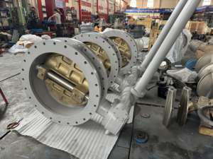 オイル/ガス/水手動ワームギア操作式設計圧力10Bar用プロのフッ素ライニング (VITON/PTFE) バタフライバルブ - Product Image 6