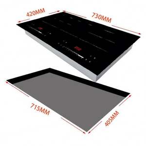 Placa de Inducción de Doble Cabezal con Diseño OEM LF, Integrada, Nuevo Modelo - Product Image 4