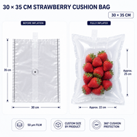 Barrière de fraîcheur pour sacs de raisins, coussin gonflable à colonnes d'air, emballage de fruits écologique et recyclable, résistant à l'humidité et à la condensation
