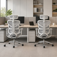 Milieu Du Dos Support Lombaire Fauteuil Visiteur Personnel De Travail Exécutif Ergonomique Chaise De Bureau