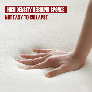 Reformer Pilates in Legno Rosso Usato con Molle Tedesche per Migliorare la Postura e Ridurre il Dolore alla Schiena - Product Image 6