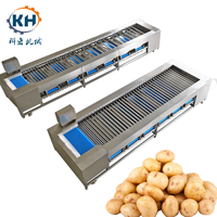 Rode Dadels Grapefruit Aardappel Wassen Taro Zoete Tomatennoot Mango Fruit Schoonmaken Veren Afval Automatisch Commercieel Gebruik Sorteren