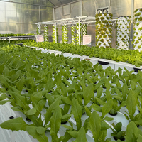 Système hydroponique NFT horizontal de haute qualité pour l'agriculture intérieure, canal en PVC, systèmes hydroponiques NFT commerciaux