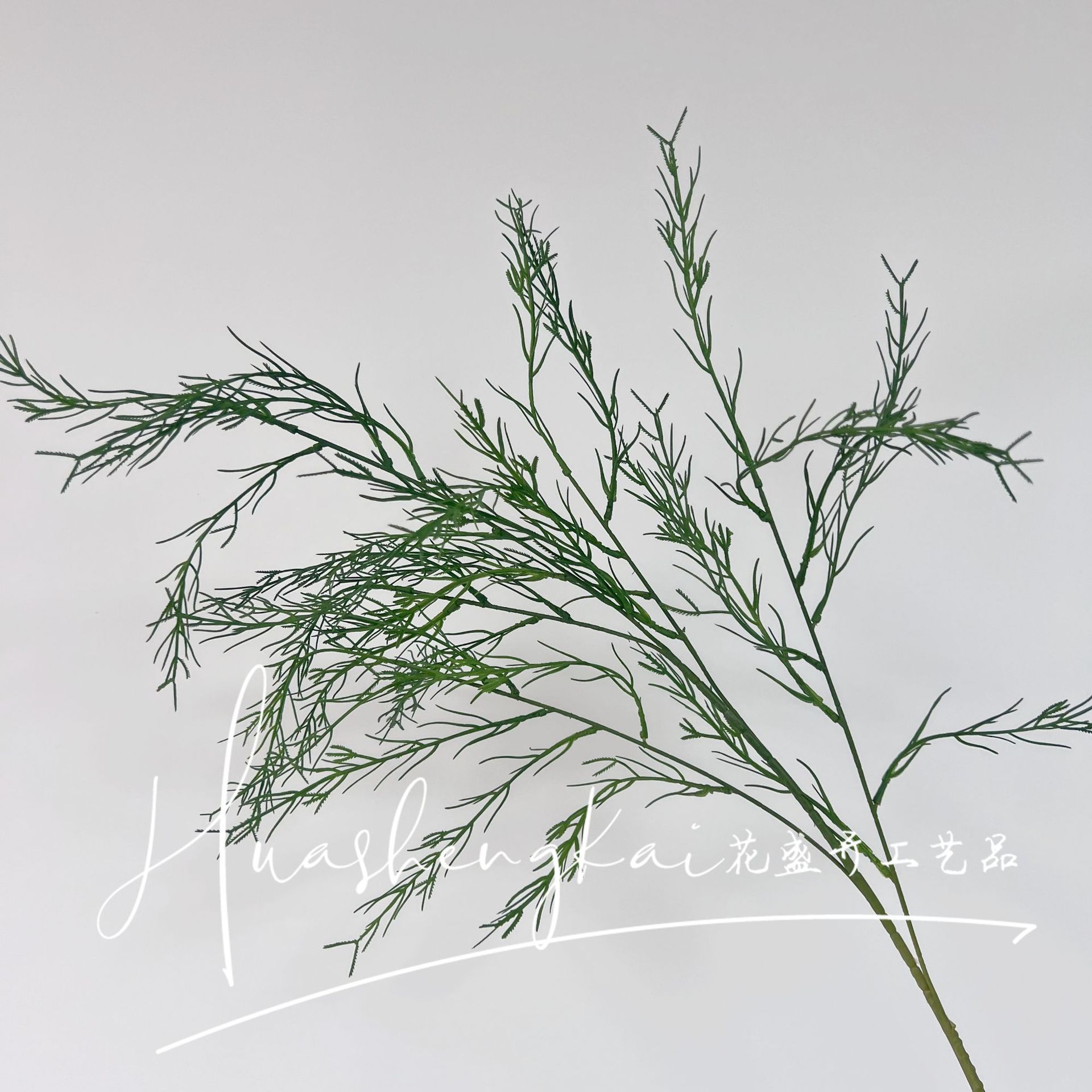 Alisma hierba verde oscuro