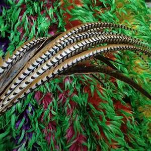 Pluma de cola de faisán grande y larga de 130-140cm natural barata al por mayor para decoración de Carnaval y baile