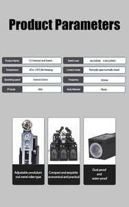 Cntd 10A có thể điều chỉnh con lăn đòn bẩy cánh tay du lịch giới hạn chuyển đổi CLS-131M với 380VAC ROTARY IP65 bảo vệ dọc giới hạn chuyển đổi IP65 - Product Image 5