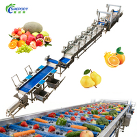 Machine industrielle de séchage et de traitement des mangues, ligne de nettoyage et de séchage des fruits avec système d'ozone, machines de lavage et d'emballage des dattes