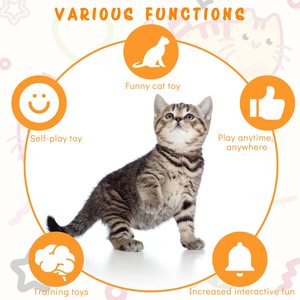 Venta caliente mascota gato juguete elástico retráctil puerta colgante juguete interactivo gatito ratón hierba gatera rascador y mordedor juguete - Product Image 5
