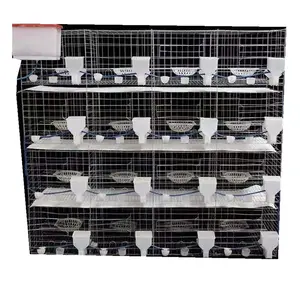 Vente d'usine 16 portes 2020 vente chaude 24 cellules cage de pigeon d'élevage avec un prix bon marché