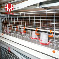 Cage à poulets de chair de type H à 3 niveaux, cage de batterie automatique pour poulets de chair, plancher en plastique, abreuvoir à tétine, convoyeur à fumier, acier galvanisé