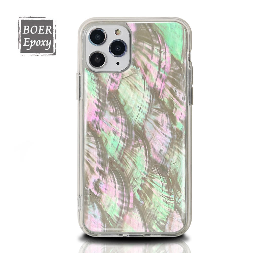 หอยเชลล์สีขาว