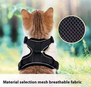 Collier et laisse pour animaux de compagnie, chiens et chats, réglable en été, laisse de marche ultra-fine, couleur et taille personnalisables - Product Image 6