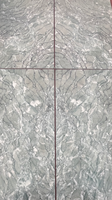Tuile de marbre Calcite veines vertes antiques finition naturelle utilisation polyvalente chambre escalier Hall cuisine salon
