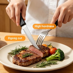 Cuchillo para carne de acero inoxidable 2Cr personalizado, pulido a espejo, con mango de plástico dentado, para restaurante, hotel, cocina, venta al por mayor - Product Image 3