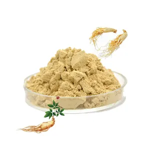 Organic bulk food grade American ginseng P.E. powder 0.8% siberian ginseng root extract