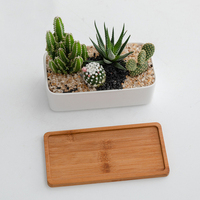 Pot succulent pot en porcelaine blanche transfrontalière pot de fleur en céramique combinaison rafraîchissante avec plateau