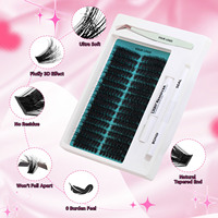 Extensions de cils en grappes avec logo personnalisé, vente en gros, marque privée, cils moelleux 80D, kit de cils en grappes DIY