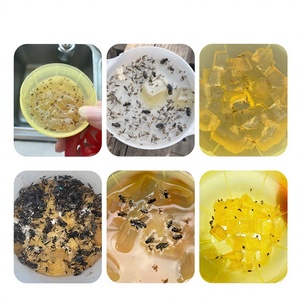 Eco Friendly Indoor Mini Sticky Insect Catcher Glue Adhesive Fruit Fly Trap for Home Pantry Catering Commercial Indoor Hotel Use - Product Image 5