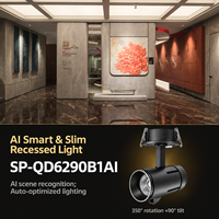 Lumière LED encastrée noire et blanche 22W AC90-265V PF 0.95 CRI 90 UGR 16 36 degrés pour l'éclairage des galeries d'art