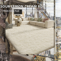 Tapis shaggy crème, grand tapis de sol, tapis en fibres douces pour salon, chambre à coucher