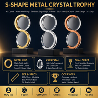 Trofeo de Cristal Metálico Personalizado, Premio Creativo con Grabado Láser Interno, Regalos Conmemorativos de Alta Gama para Reuniones Anuales Corporativas