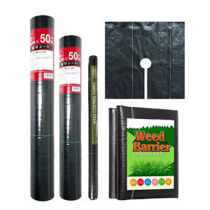 Toile anti-herbe en PP+PE noire, tissu de protection contre les adventices pour l'agriculture et le jardinage, vente en gros - Product Image 3