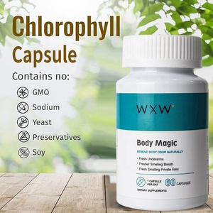 Capsules de thé vert brûle-graisses en gros pour la gestion du poids des employés de bureau - Product Image 1