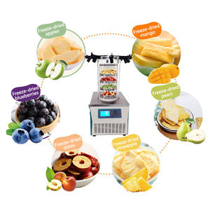 Liofilizador con diseño de eficiencia energética para operaciones sostenibles - Product Image 2