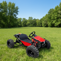 Kart à essence 212cc 4 temps, buggy de course tout-terrain, vitesse maximale 70 km/h pour enfants et adultes