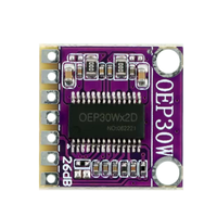 Carte d'amplificateur de puissance numérique 30W, alimentation CC 12V, module audio monocanal, classe D OEP 30W