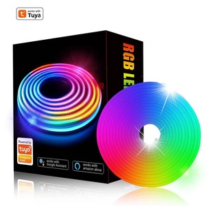 Bán Buôn Thông Minh <span class=keywords><strong>RGB</strong></span> Neon Dải Đèn Đầy Màu Sắc Silicone Môi Trường Xung Quanh Dải Ánh Sáng Ứng Dụng Và Điều Khiển Từ Xa Cho Nhà Thanh Phòng Chơi Game - Product Image 1