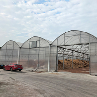 Grande serre agricole automatique hydroponique pour la plantation de fraises, multi-spans, avec couverture en film mince connectée