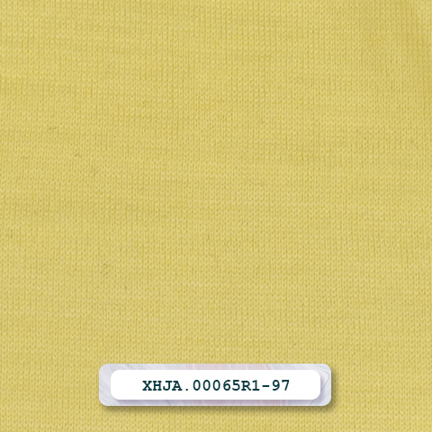 XHJA.00065R1-97