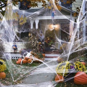 Telaraña <span class=keywords><strong>Artificial</strong></span> superelástica, decoración <span class=keywords><strong>de</strong></span> Halloween, escenario <span class=keywords><strong>de</strong></span> fiesta aterrador, accesorios <span class=keywords><strong>de</strong></span> decoración <span class=keywords><strong>para</strong></span> el hogar <span class=keywords><strong>para</strong></span> interior y exterior - Product Image 6