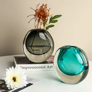 Modern Light luxury Oval Glass Vase Creative Living Room Hydroponic Flowers Crystal Vase