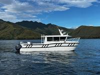 Bateaux de pêche en aluminium Gospel Boats, catamaran soudé de 11,6 m x 4 m, double coque, cabine offshore
