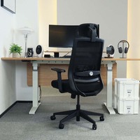 Chaise de bureau ergonomique rose Chaise de bureau Chaise de travail de direction Fauteuil pivotant Fauteuil inclinable Chaise de réunion en maille de tissu pour le bureau
