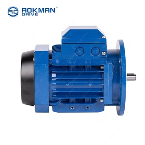 Moteur asynchrone triphasé AOKMAN, norme CEI, usage intensif, 20 kW, 50 Hz, efficacité IE3, IP54, 220 V/380 V, à entraînement par pied - Product Image 6