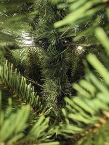 شجرة عيد الميلاد الاصطناعية عالية الجودة بارتفاع 6 أقدام مع إضاءة LED دافئة بيضاء، مبيعات ساخنة من المصنع - Product Image 4